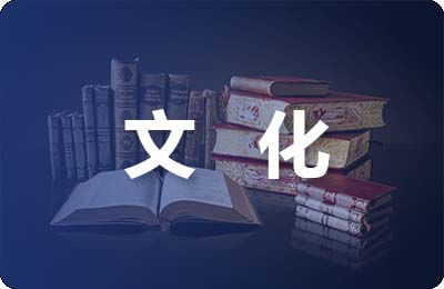 分析汉字文化信息增进汉字教学渠道探求论文