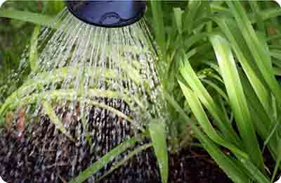 灌溉机