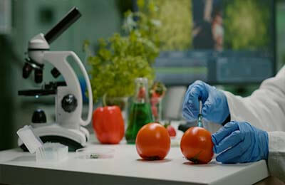 食品科学与工程实习教学革新研讨