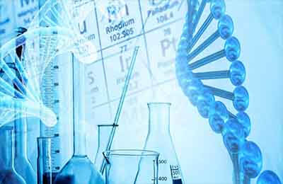 生物化学实验教学改革探析