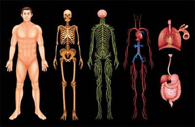 当代解剖学的教学办法