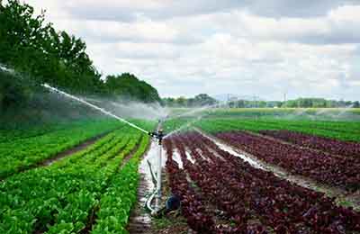 离子色谱法测定农田灌溉水中的6种阴离子