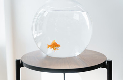 活氧玻璃鱼缸 养鱼不费心