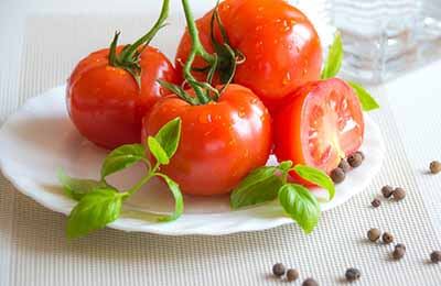 光伏温室番茄反季节栽培技术探讨