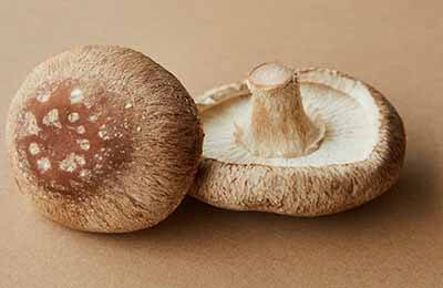 两种米曲霉固态发酵香菇菌丝粉的效果